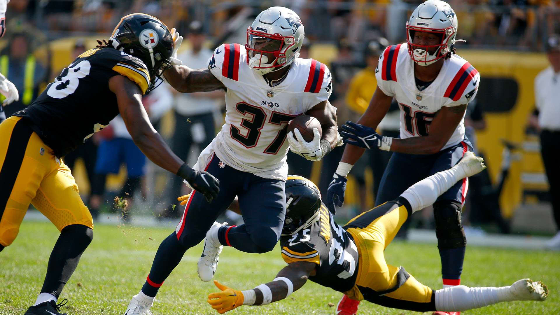 定下了坚定 定下了坚定