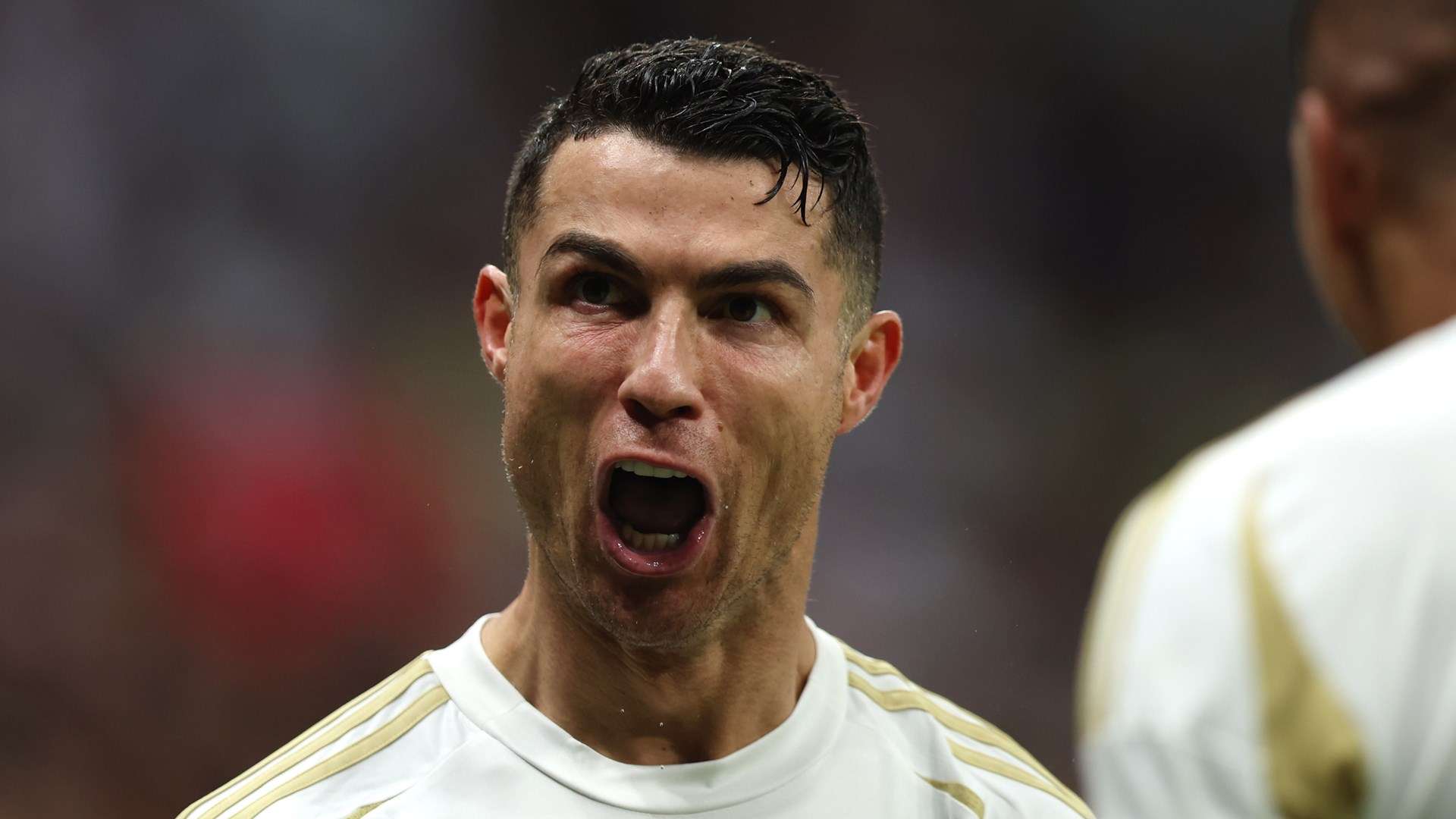 他们将在未 他们将在未