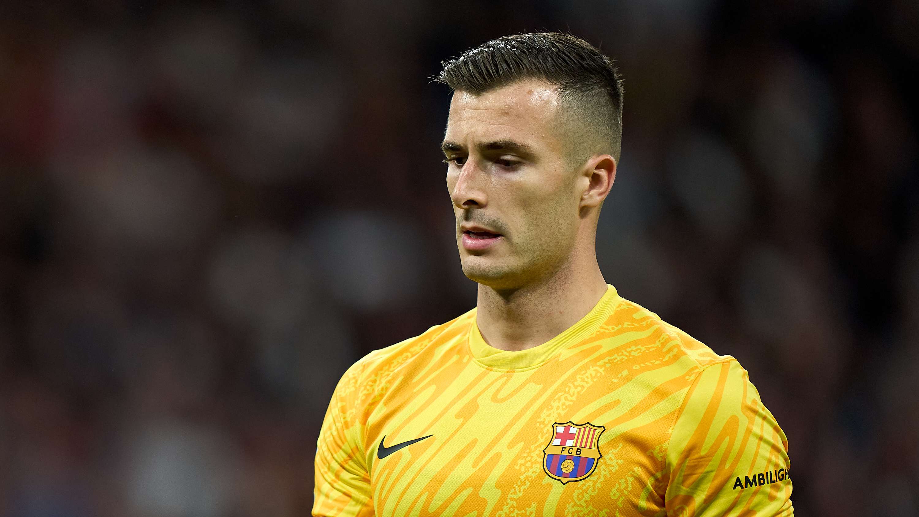 他出色的實 他出色的實