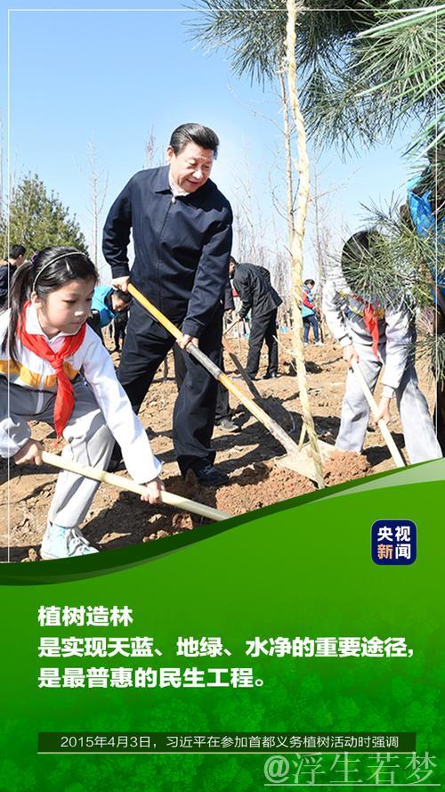习近平:凝聚力量共创美丽中国 让大地更显绿色生机 习近平:凝聚力量共创美丽中国 让大地更显绿色生机