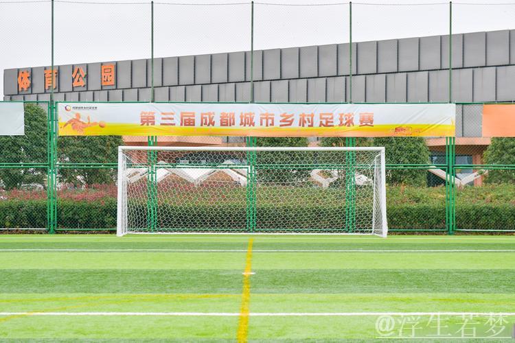 成都推进体教融合探索 足球系统培养初显成效 成都推进体教融合探索 足球系统培养初显成效